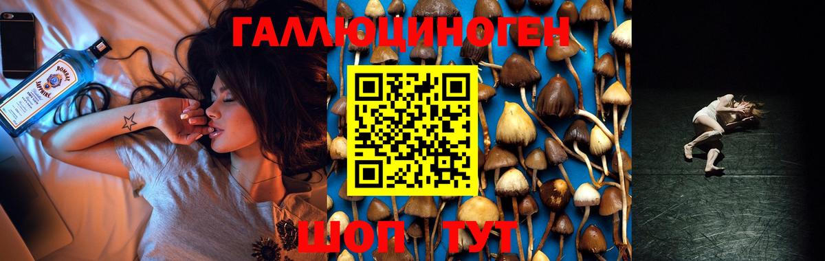 Галлюциногенные грибы мицелий  Вход с VPN  Партизанск 