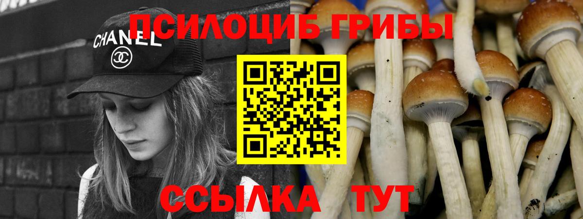 Галлюциногенные грибы MAGIC MUSHROOMS  Партизанск 